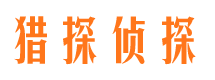 巴青侦探公司